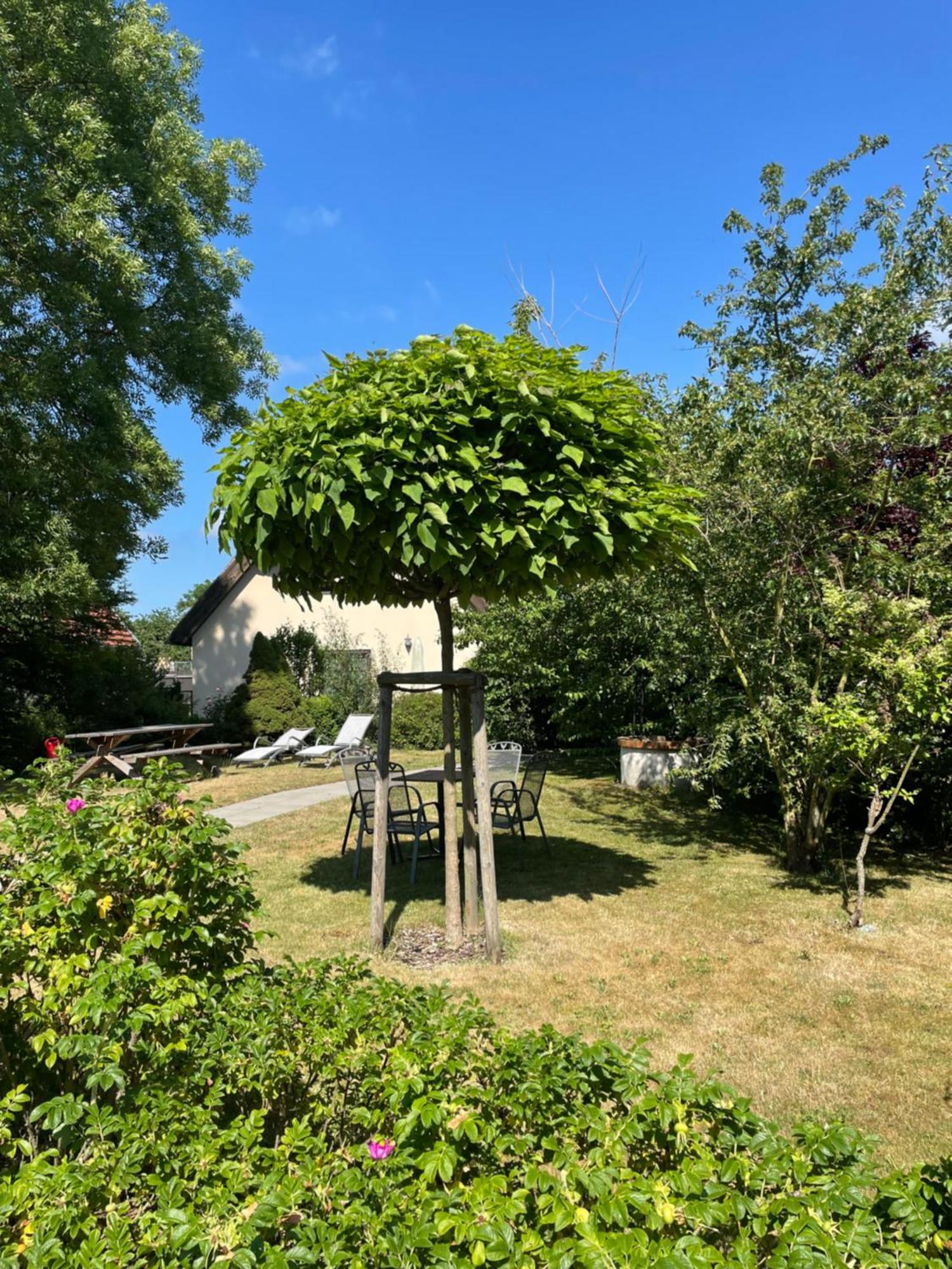 Fischerhus In Krummin - Nur Fuer Urlauber Esterno foto