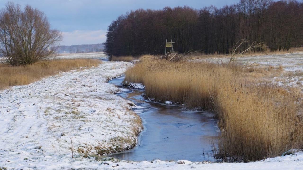 Fischerhus In Krummin - Nur Fuer Urlauber Esterno foto